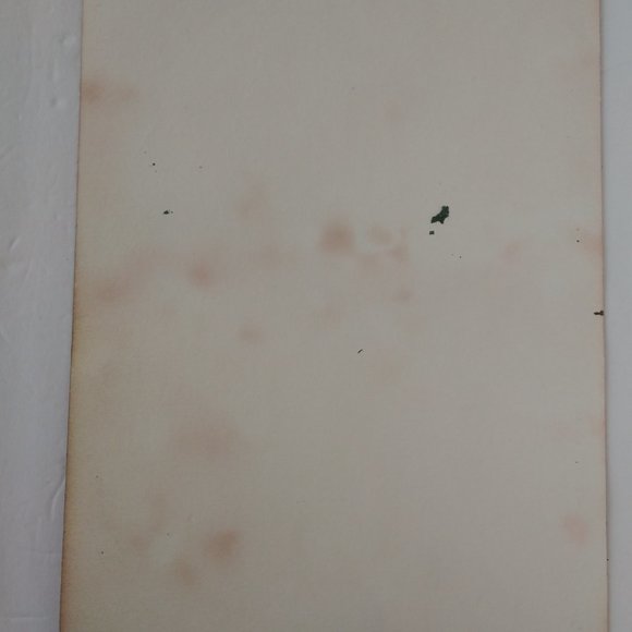 Hand Crafted Rainbow Colors Skull Painting Abstract Art 15x11 - Picture 5 of 14